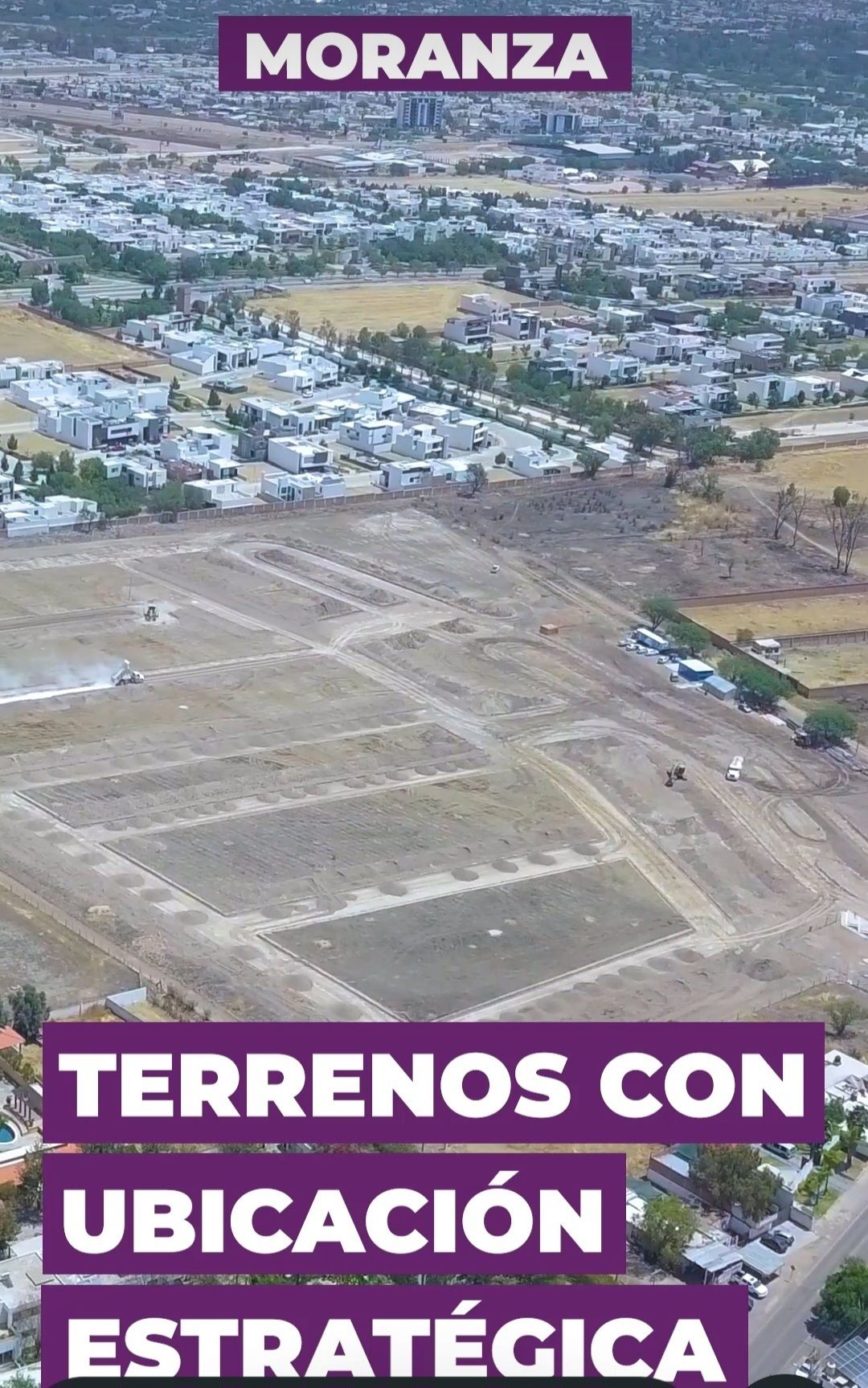 3 de 6
