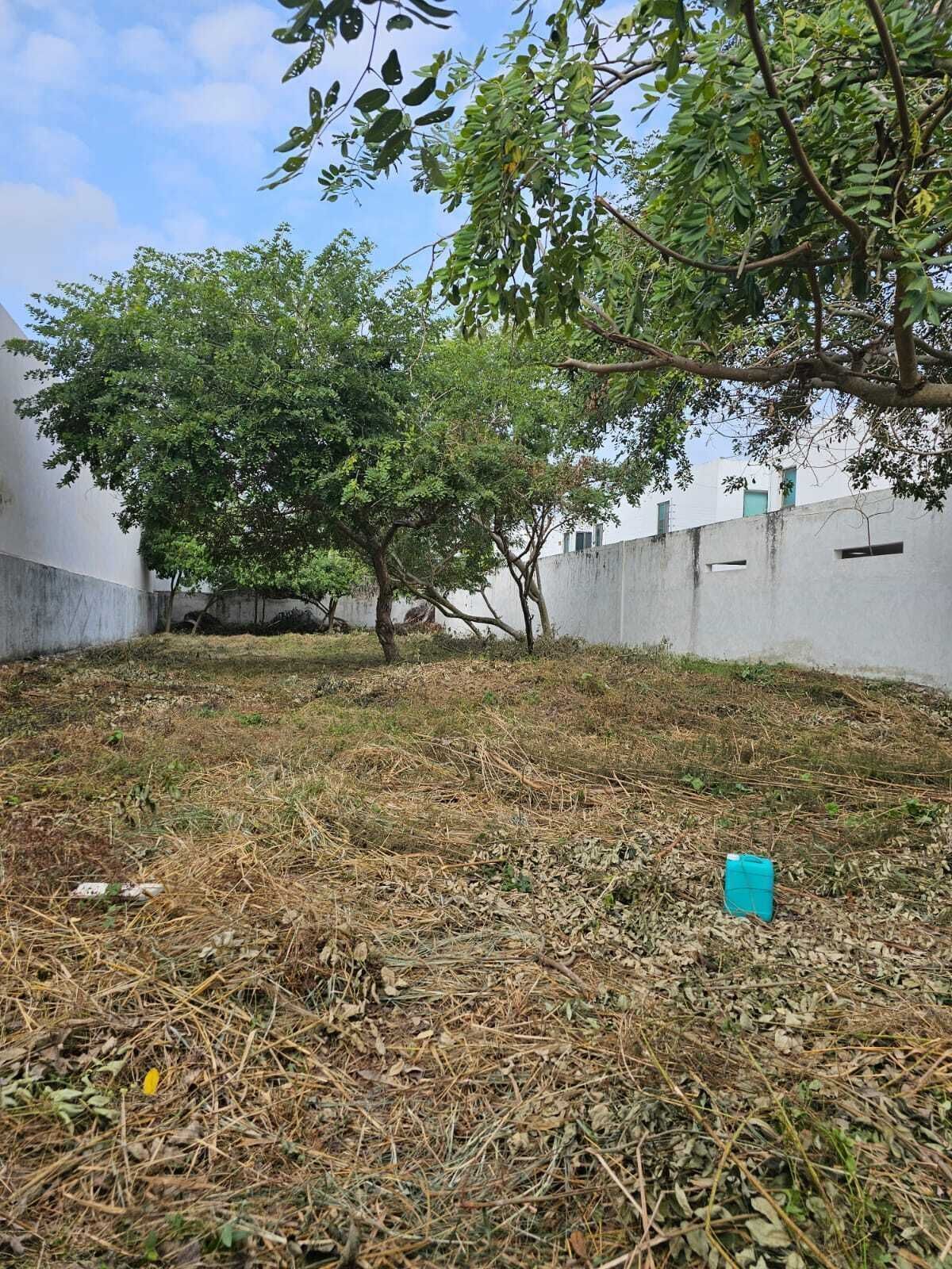 4 de 7