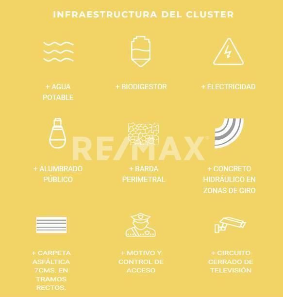 10 de 10