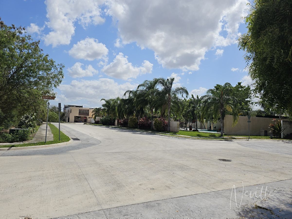 5 de 22
