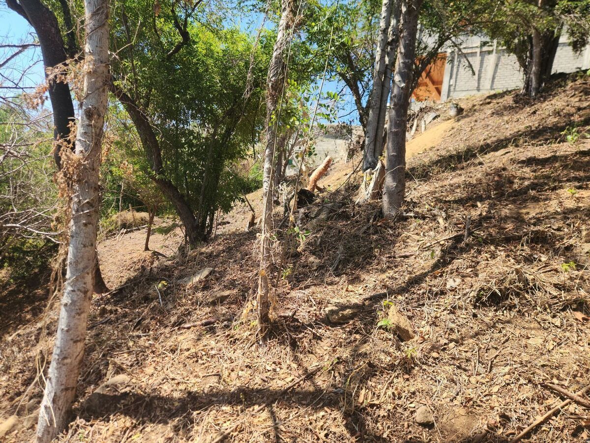 2 de 8: Zona habitada