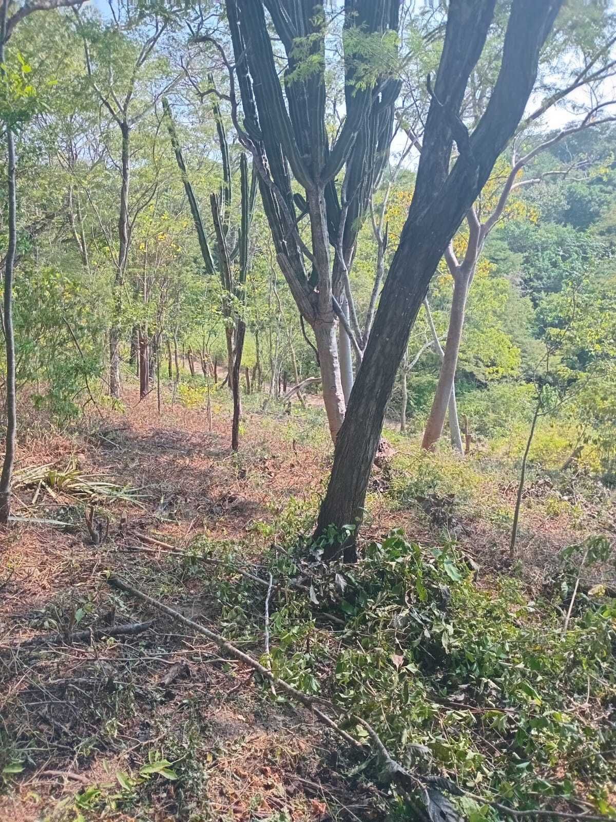 2 de 4