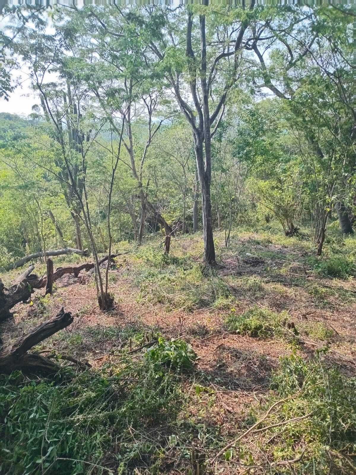 4 de 4