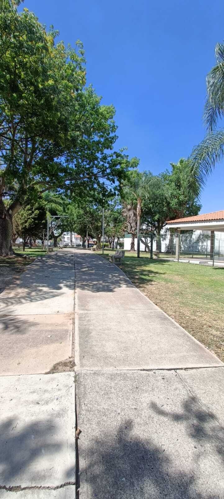 3 de 17