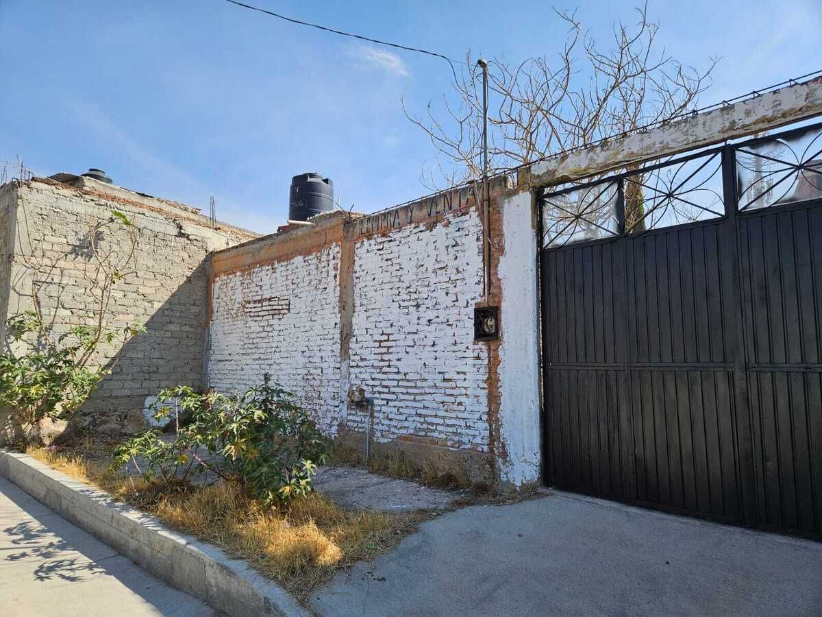 3 de 6
