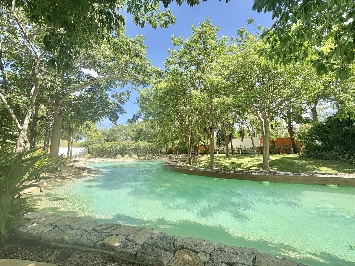 24 de 50: Lago central