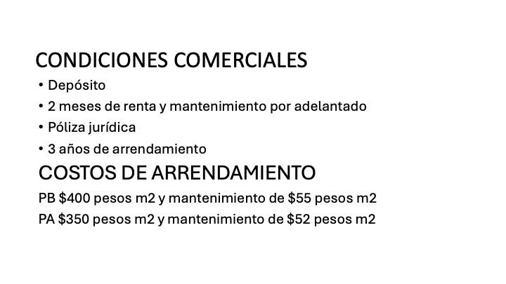 5 de 19