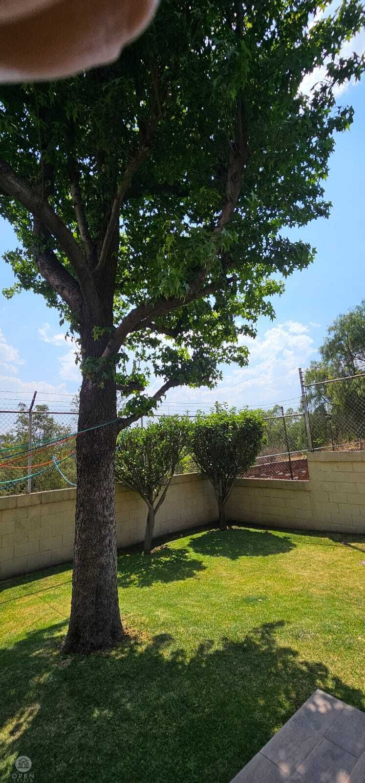 8 de 36