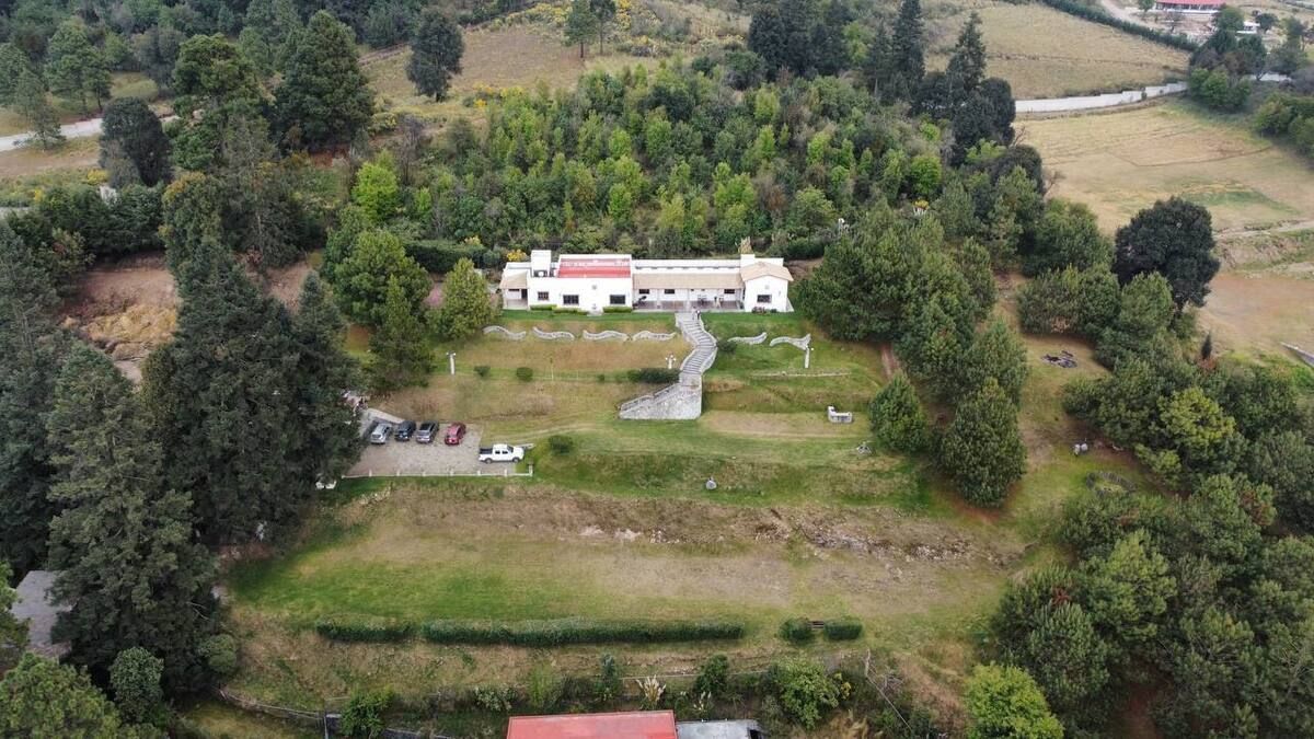 4 de 6