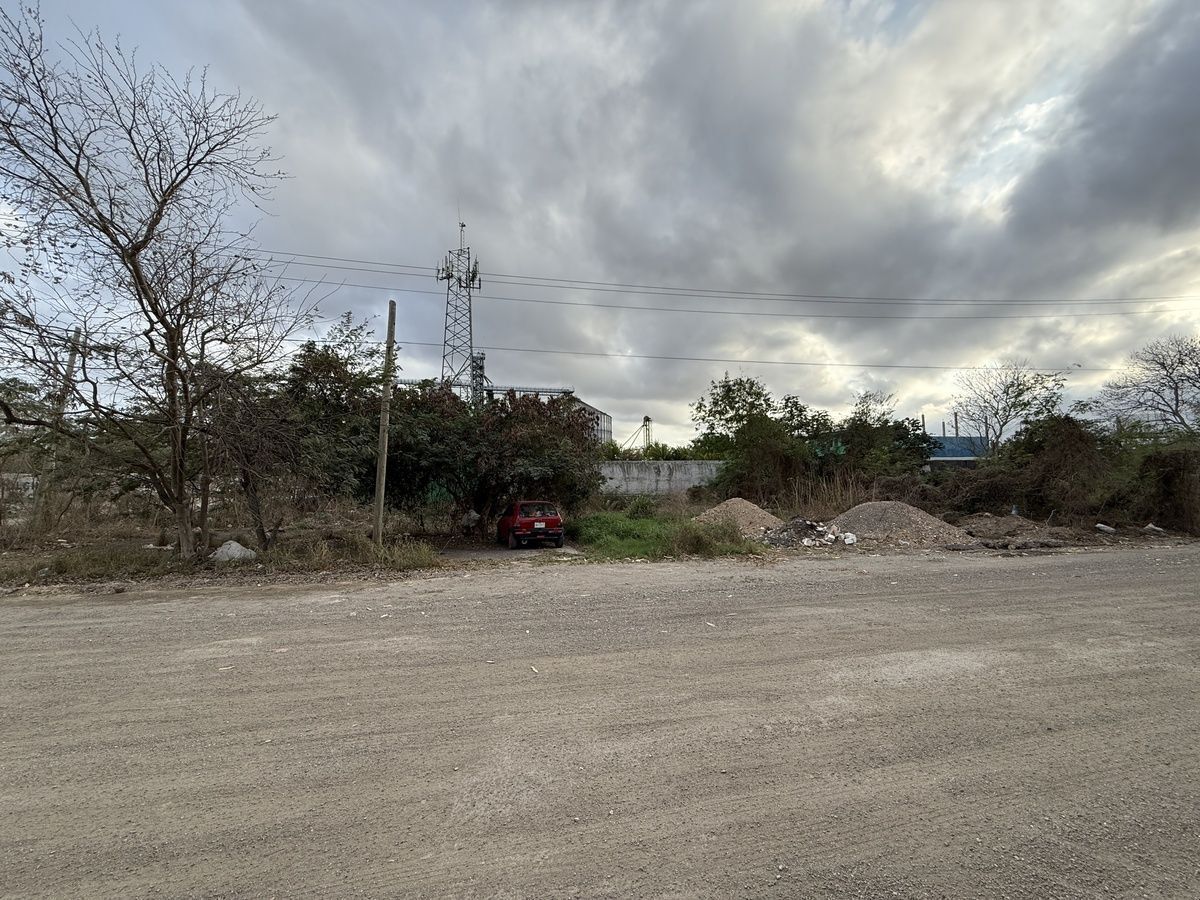 3 de 3