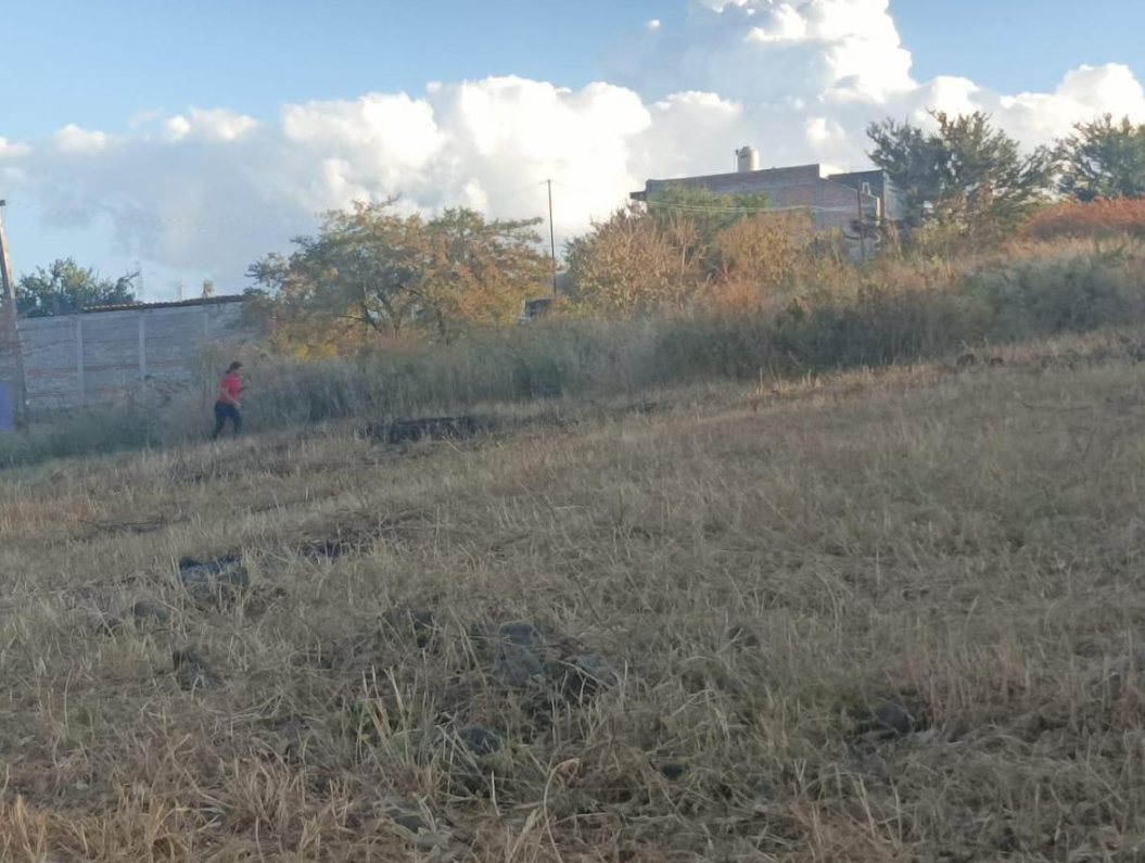 3 de 5