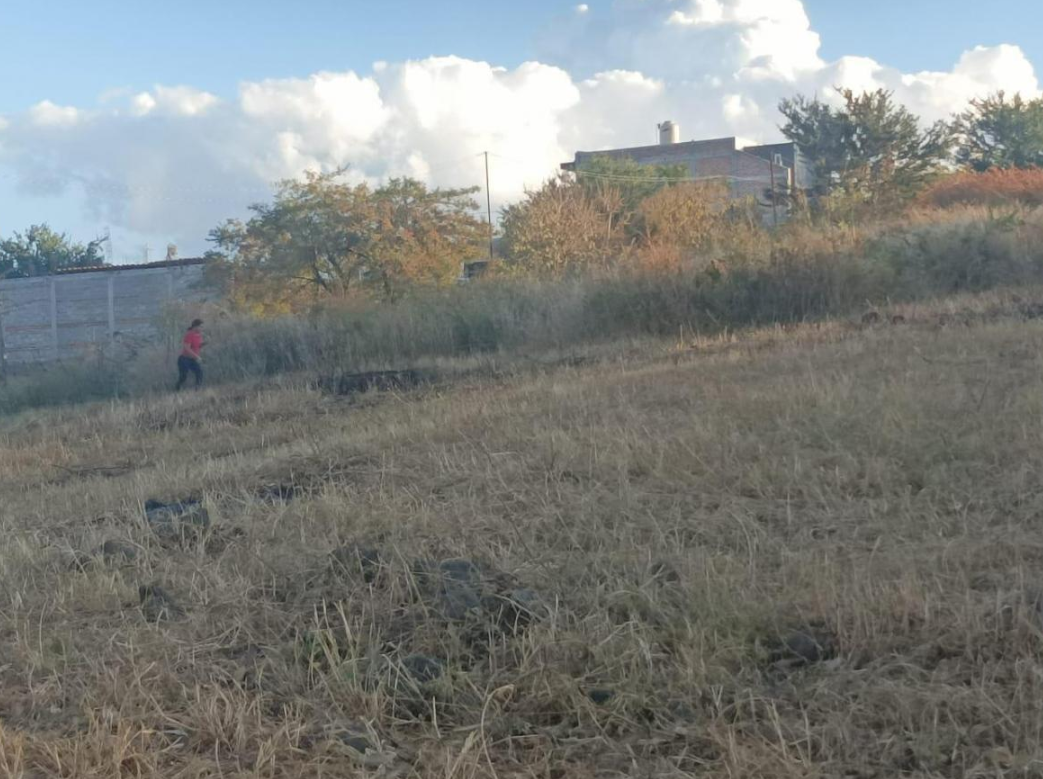 5 de 5