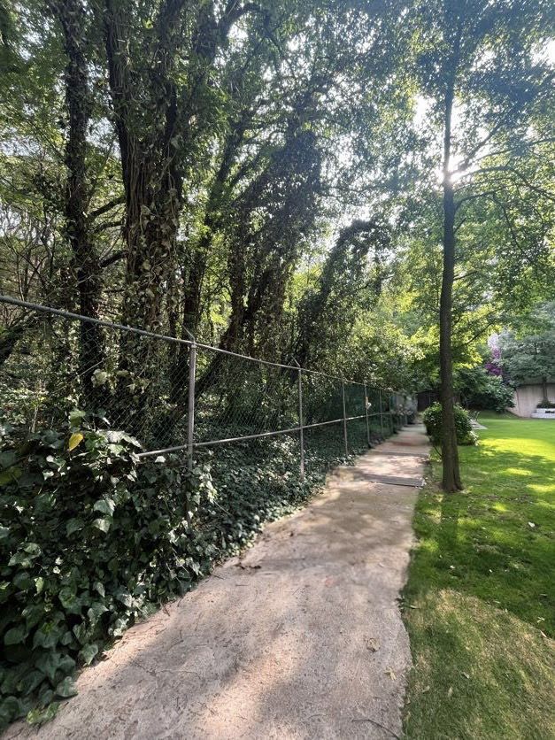 5 de 34: JARDÍN Y ZONA BOSCOSA