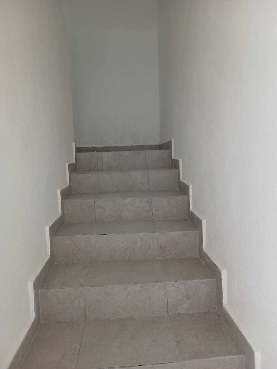 6 de 19