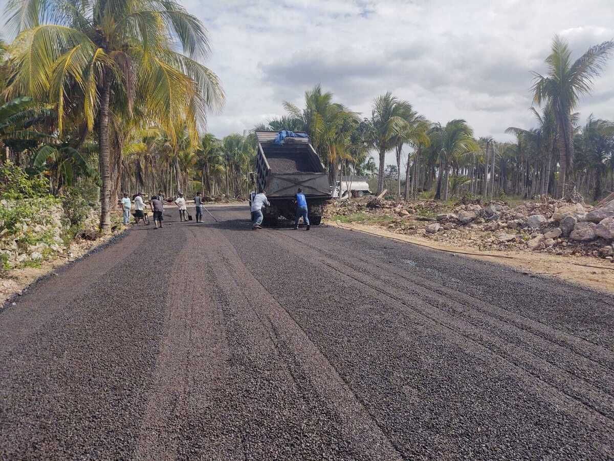 3 de 6