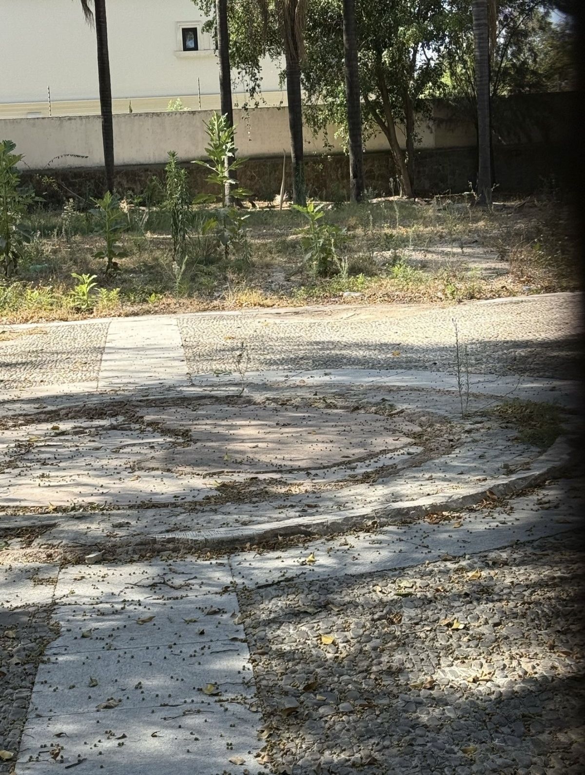 3 de 5