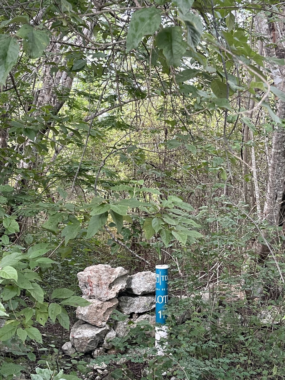 6 de 6