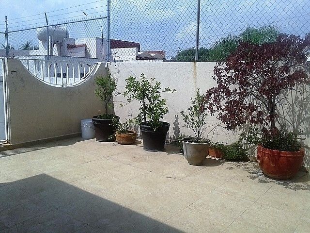 17 de 19