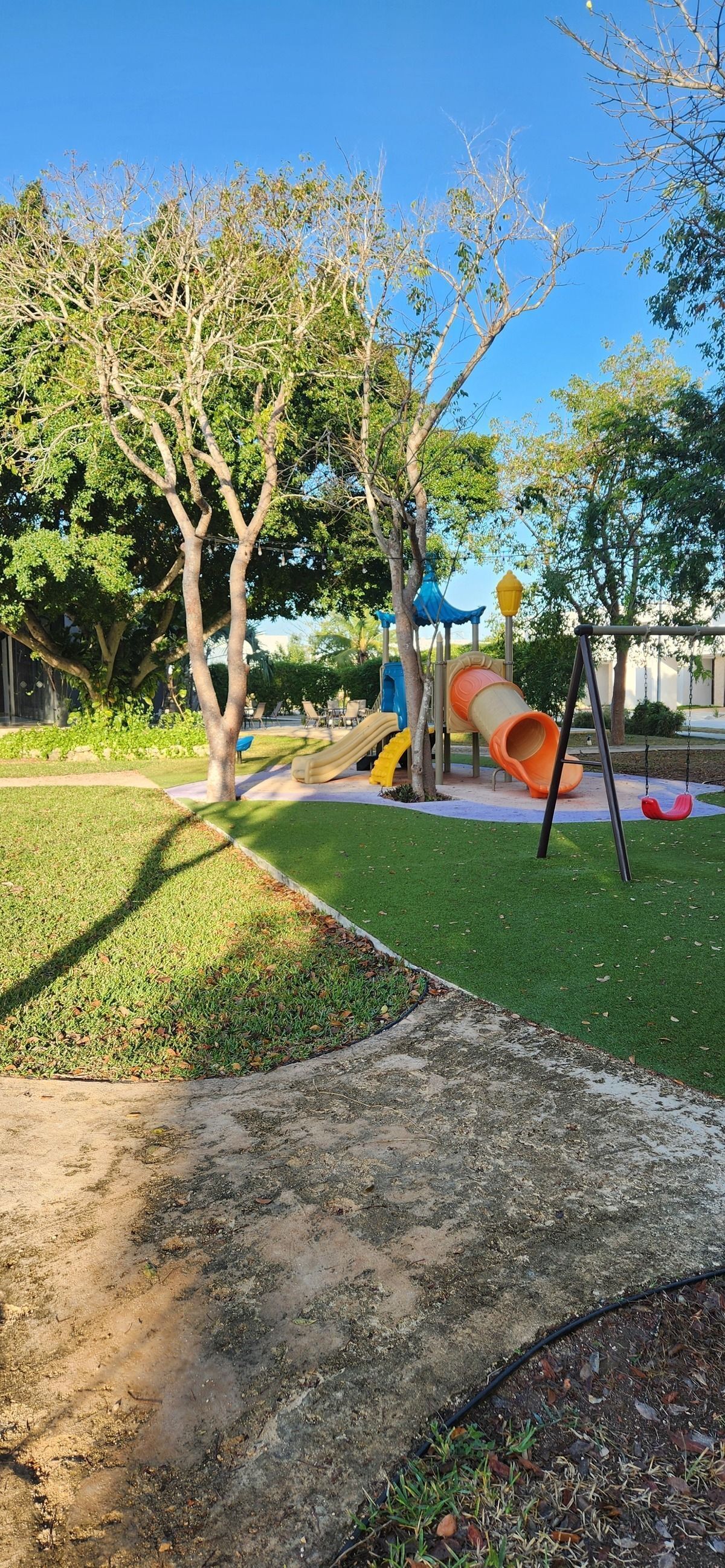 25 de 26