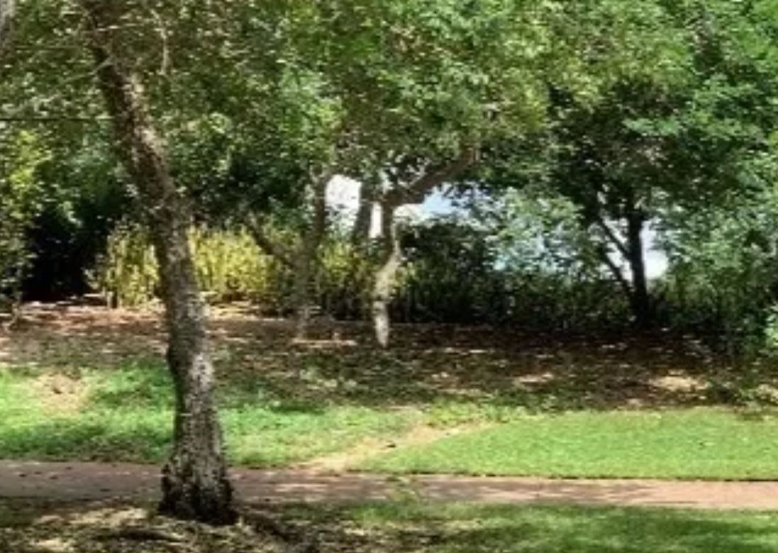 2 de 8