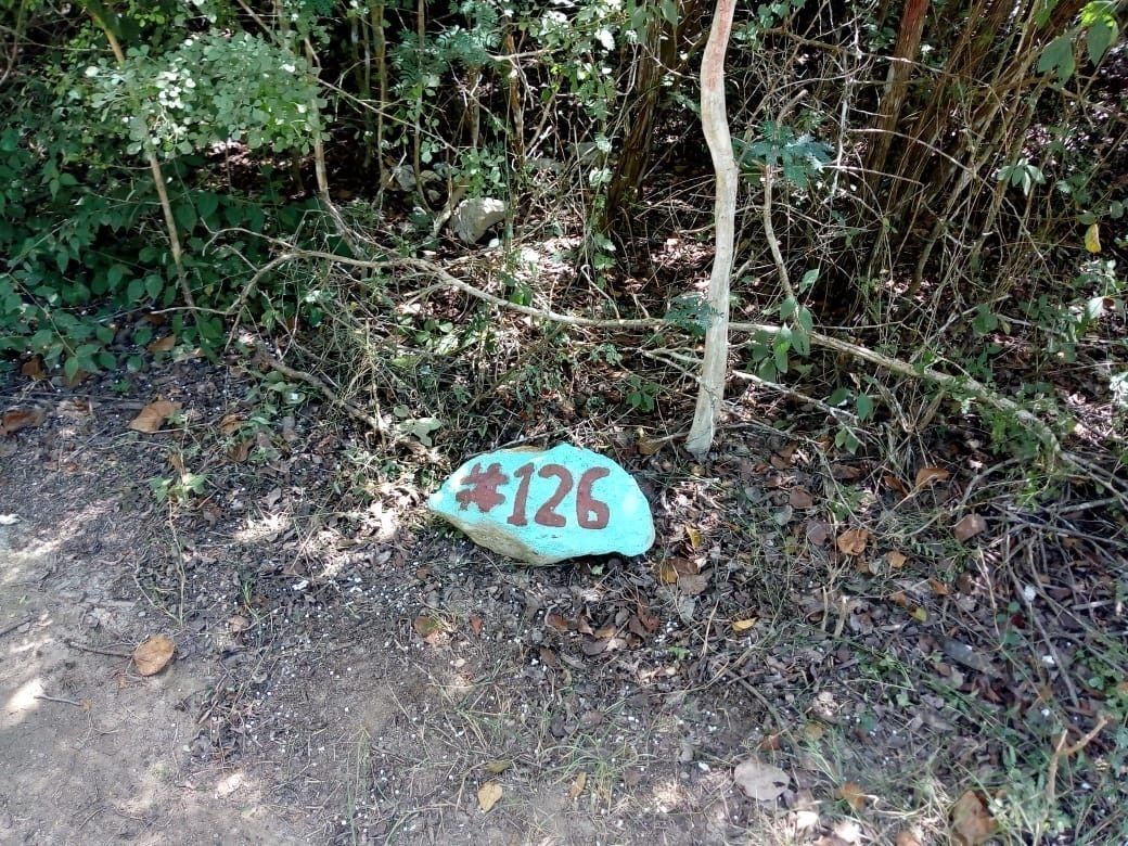 5 de 6