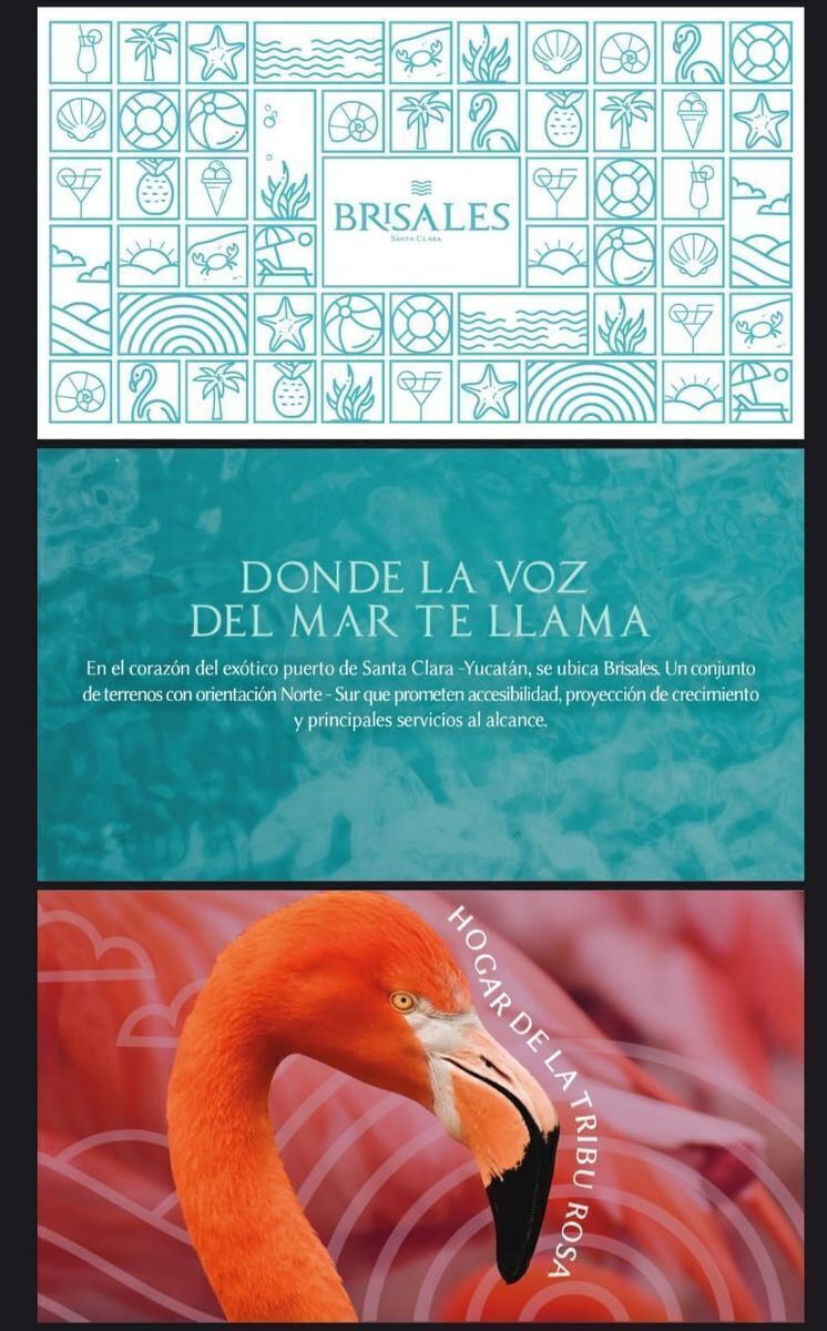 3 de 7