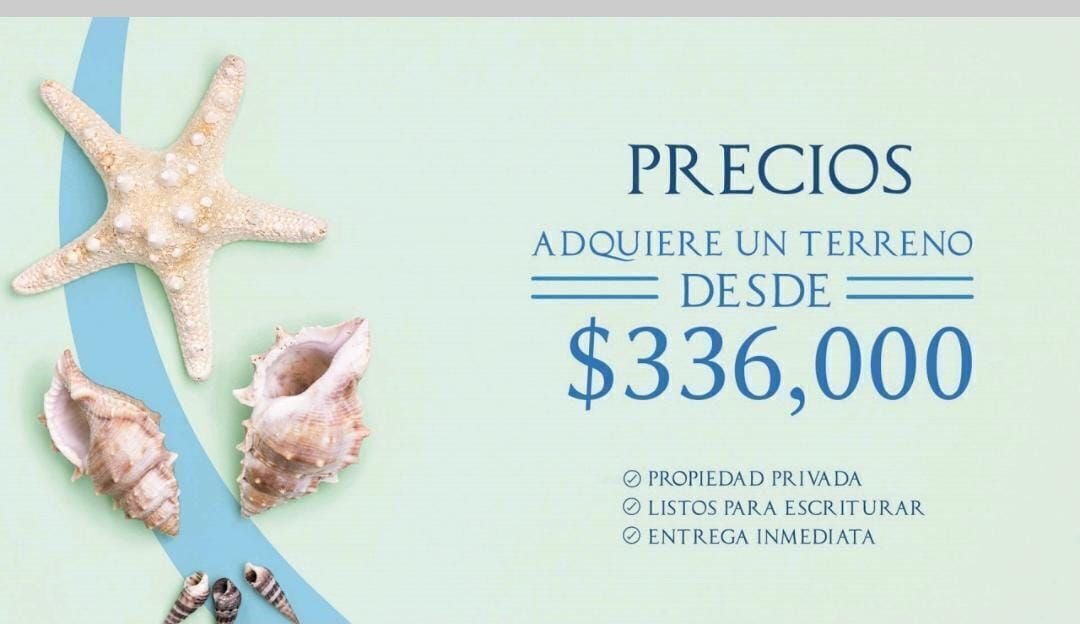 5 de 7