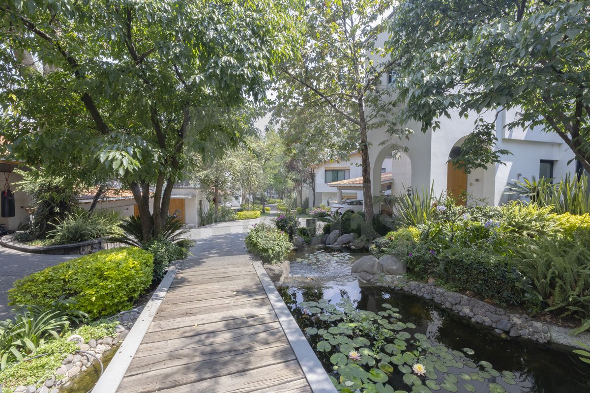 5 de 25: Bonito ambiente interior de la privada