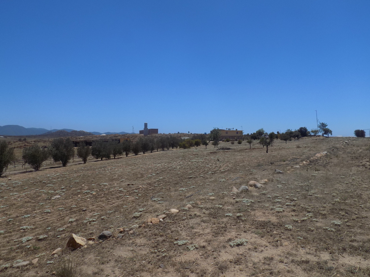 TERRENO CAMPESTRE EN VALLE GUADALUPE 14 usd/M2 40,000 M2 EasyBroker