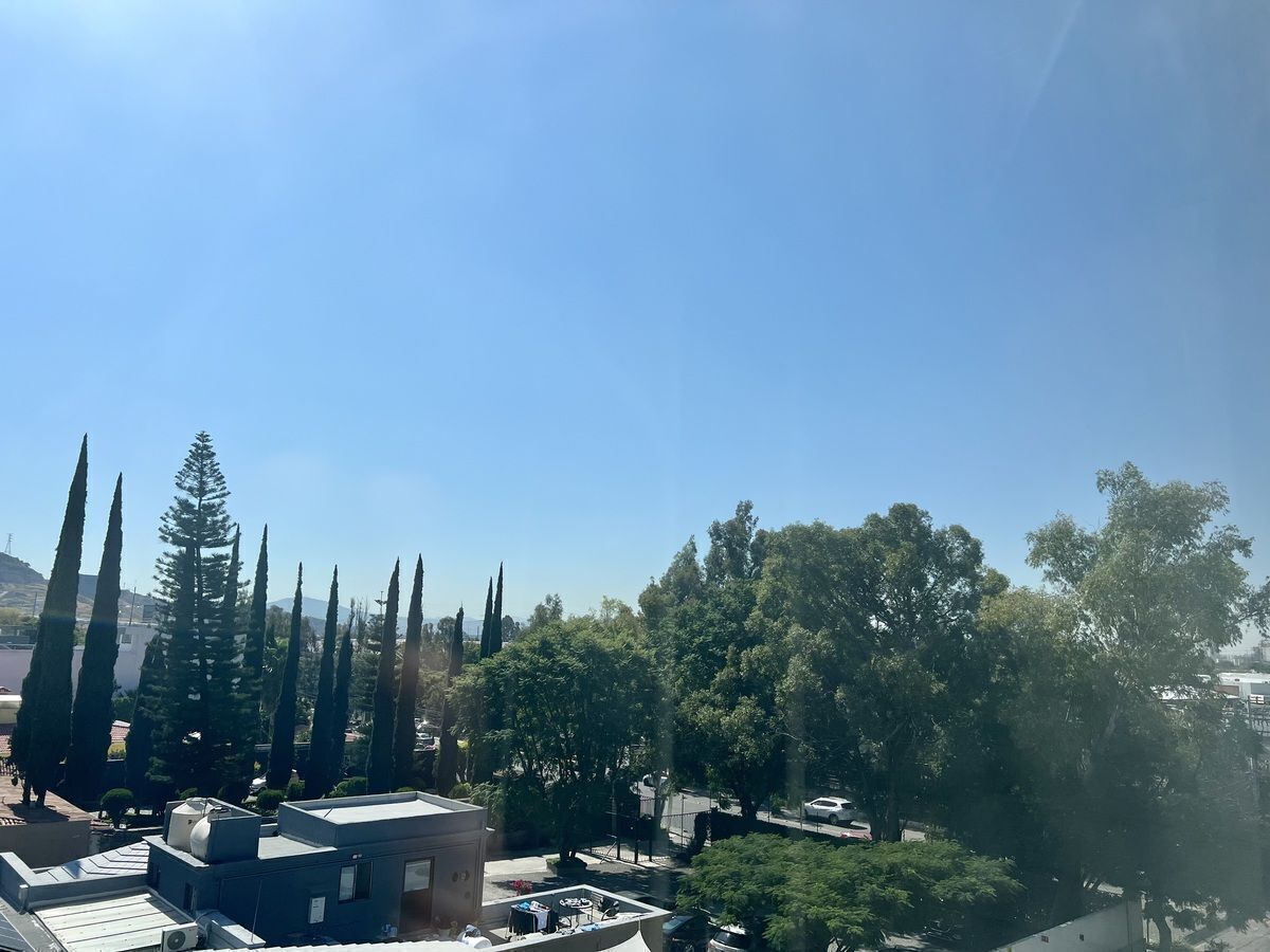 11 de 24