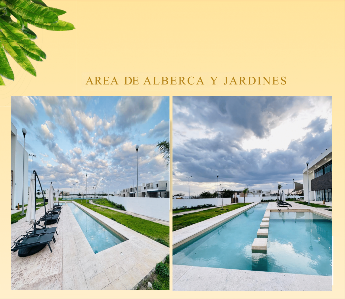 5 of 10: ALBERCA DE CASA CLUB