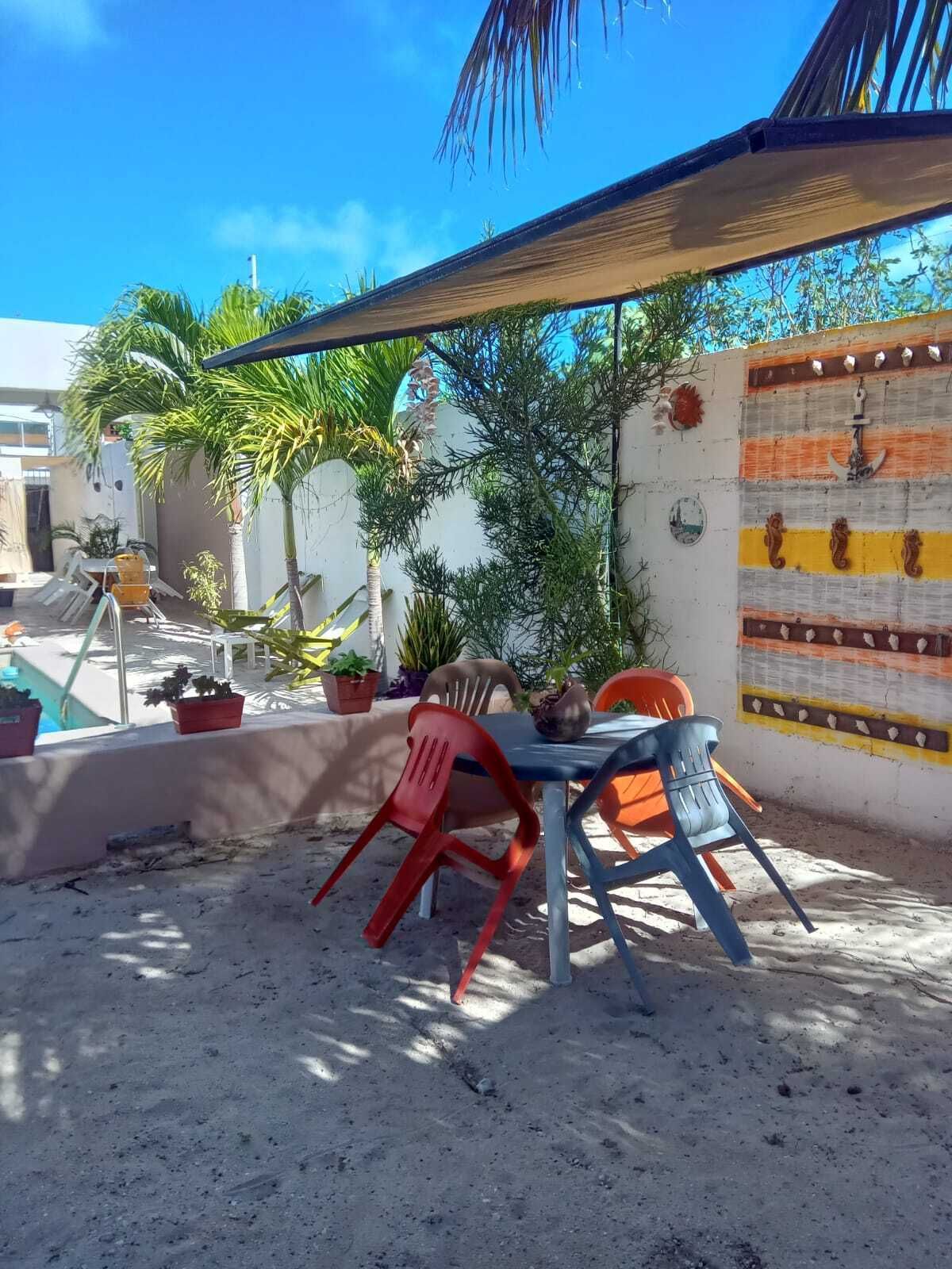 16 de 24