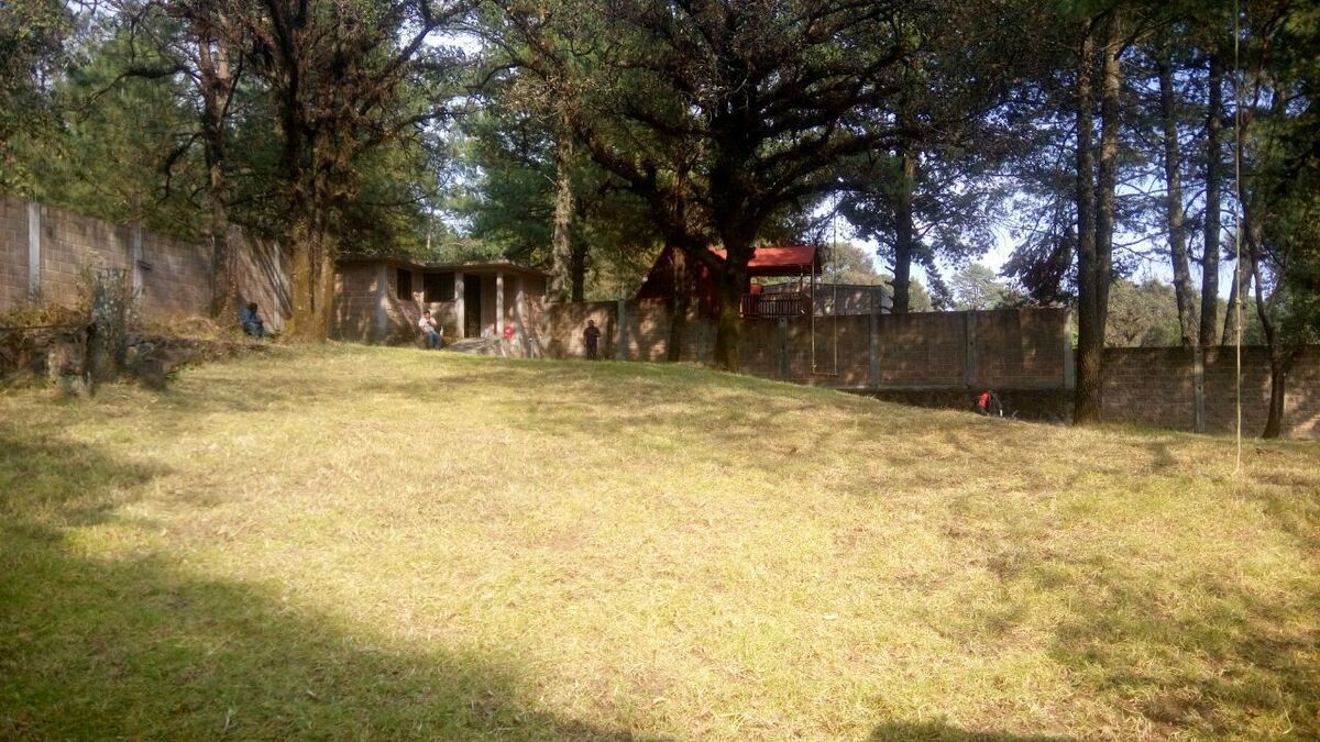 3 de 8