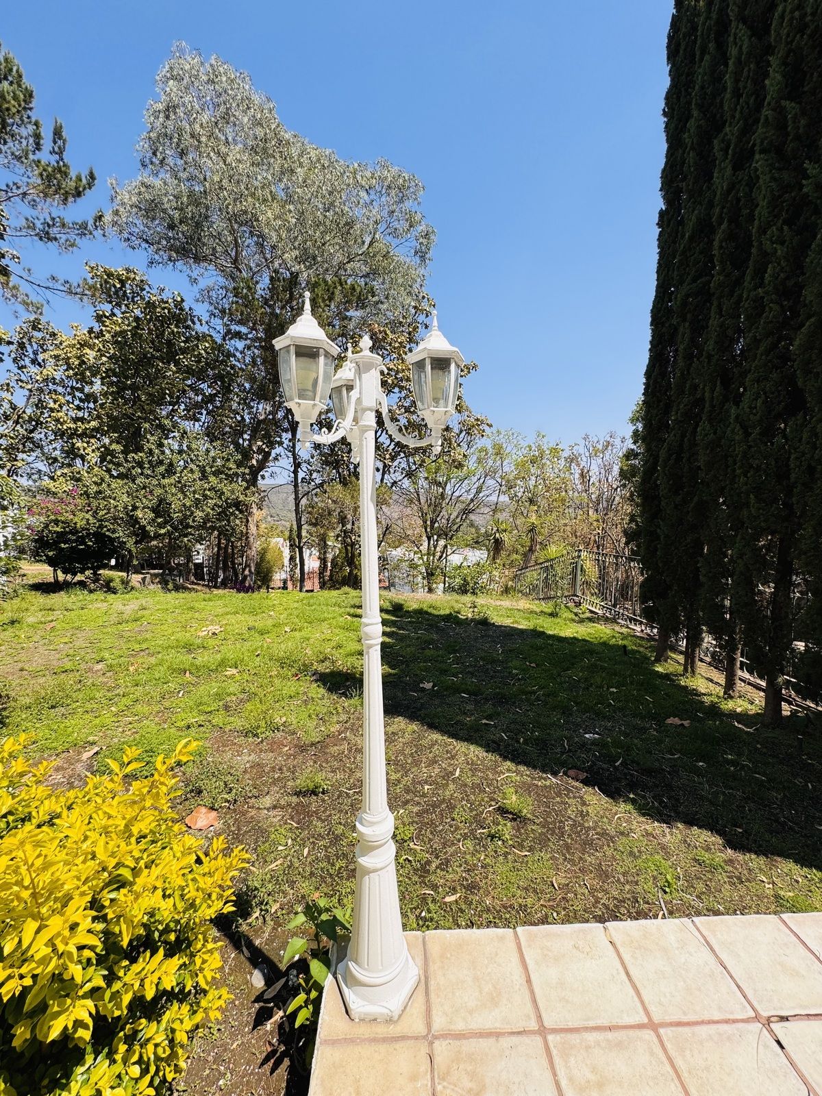 29 de 49