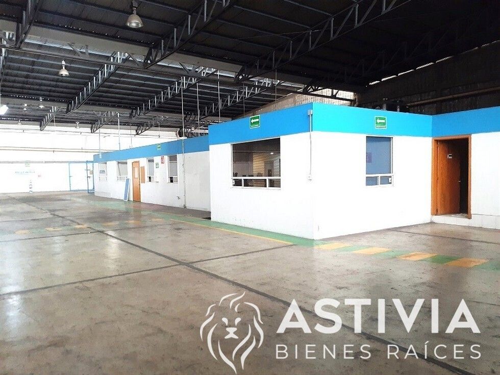 5 de 23