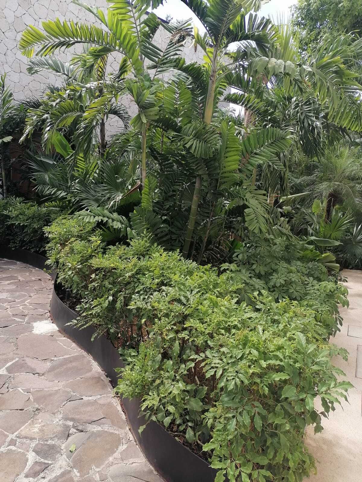 2 de 30