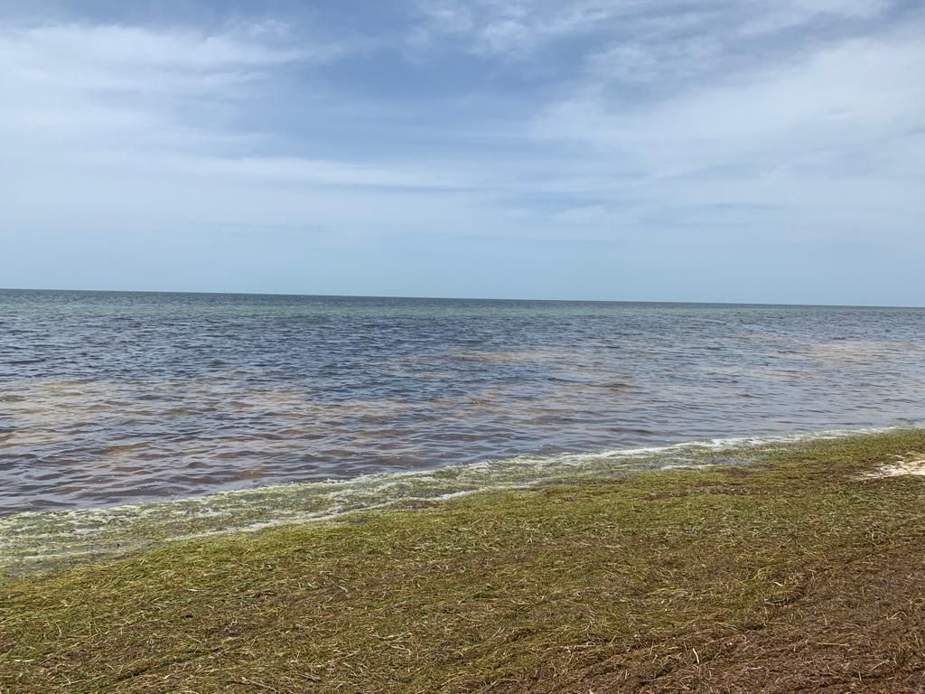 5 de 8