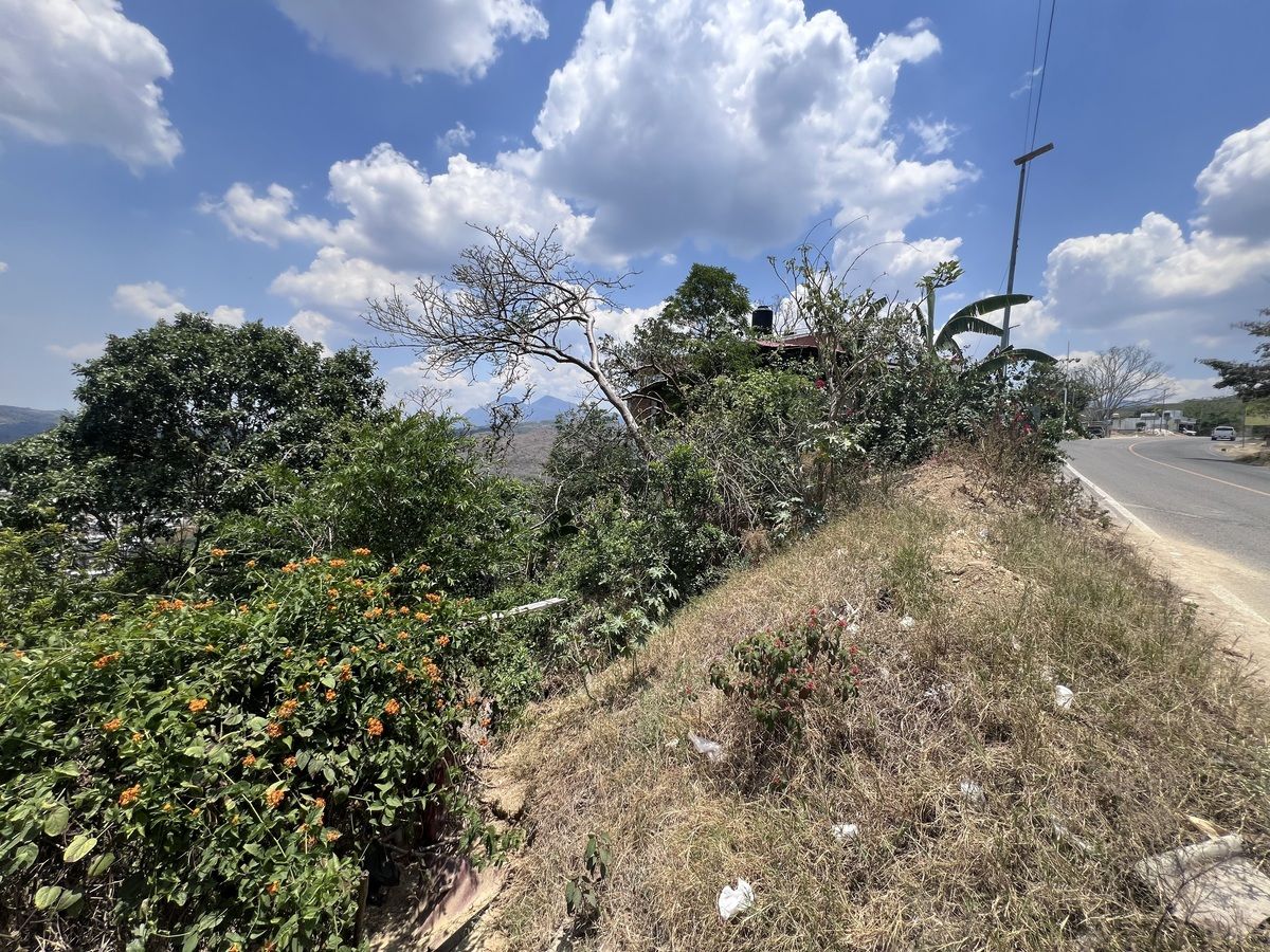 2 de 4
