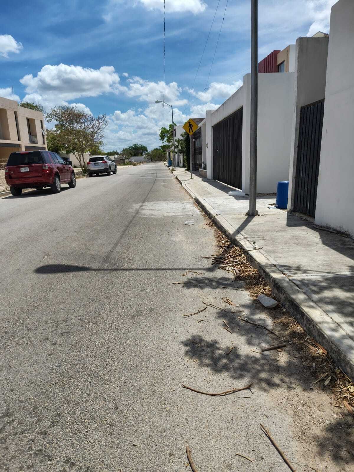 11 de 11