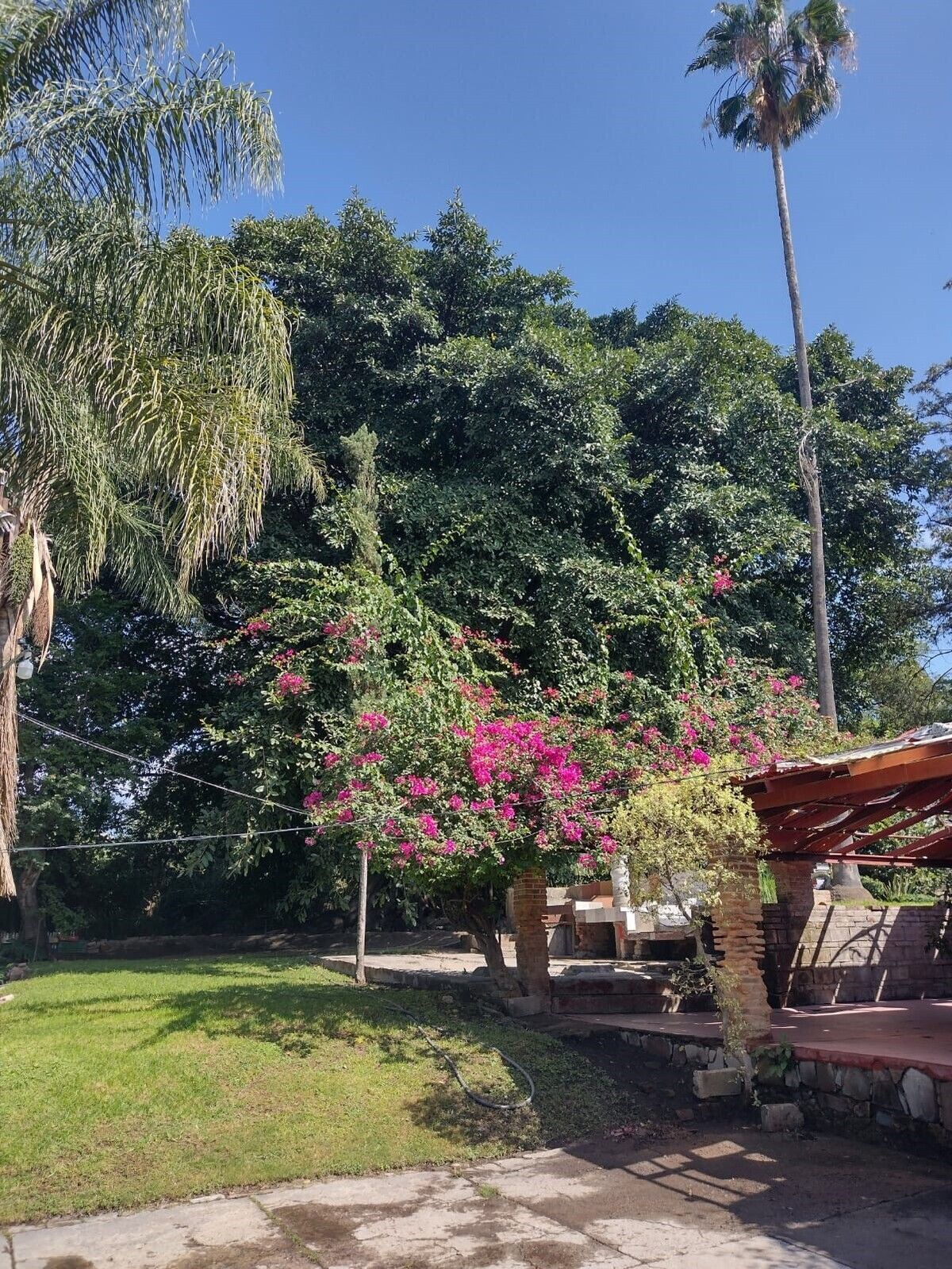 TERRENO EN VENTA PERIFERICO SAN GASPAR TONALA JALISCO - foto 5