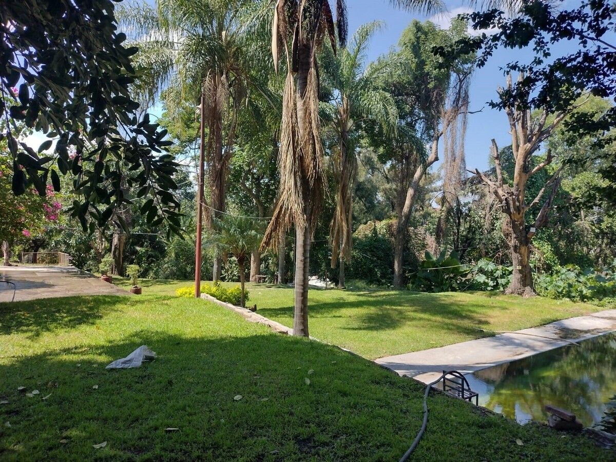 TERRENO EN VENTA PERIFERICO SAN GASPAR TONALA JALISCO - foto 1