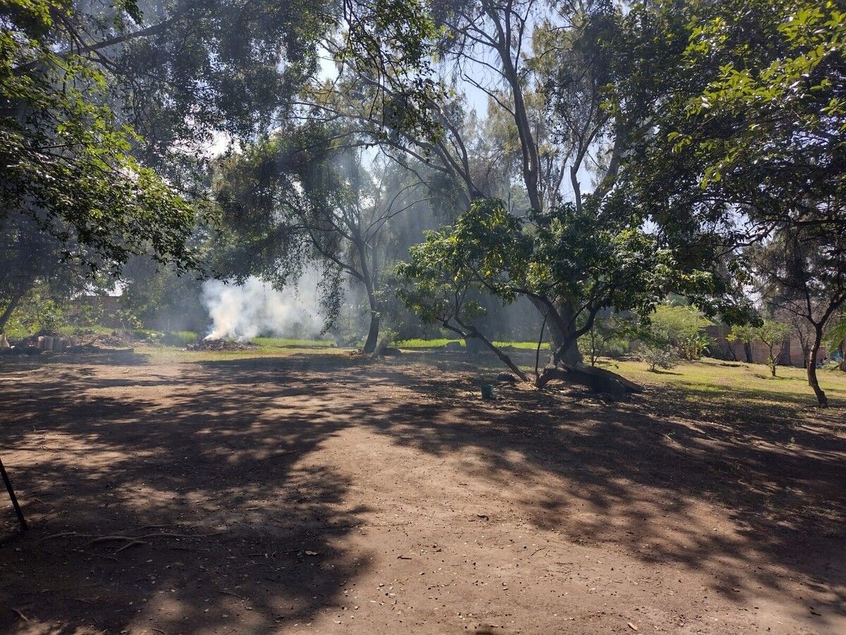 6 de 18