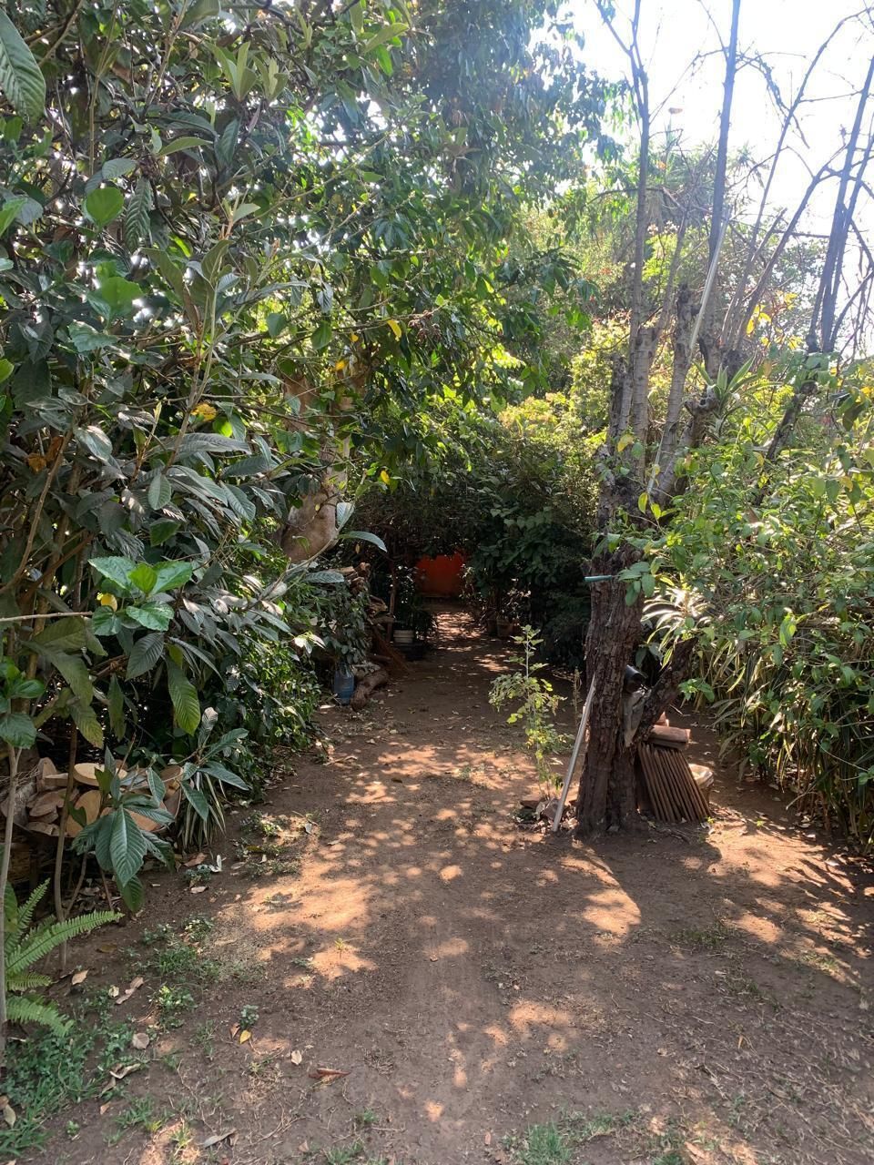 9 de 28