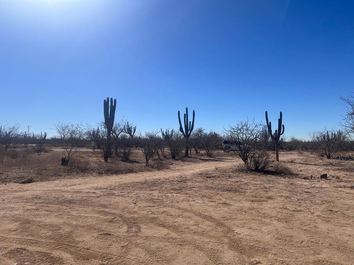 Terreno en Venta la Pasion