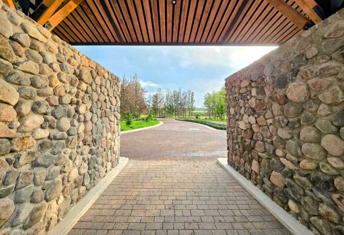5 of 7