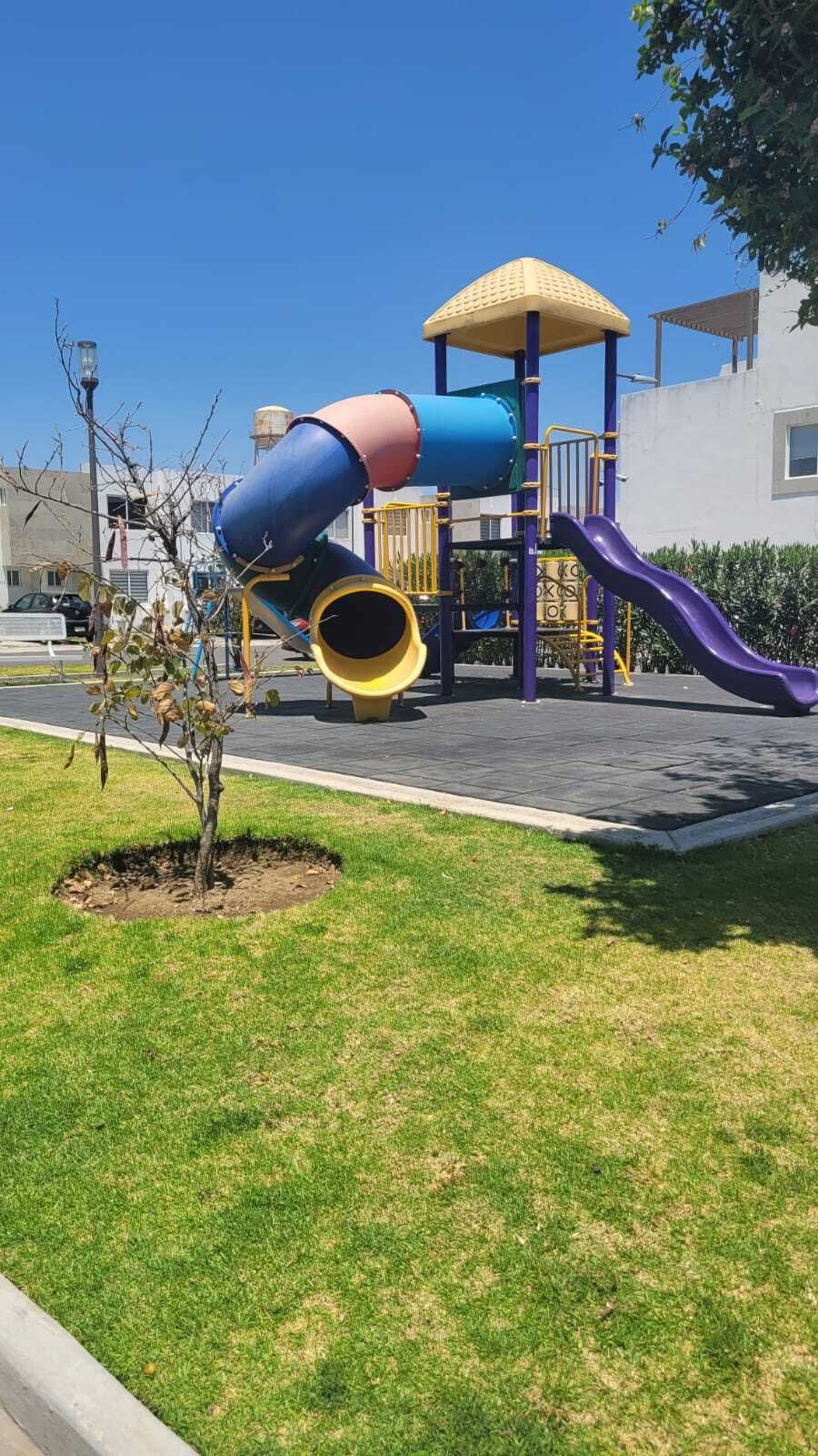 3 de 12
