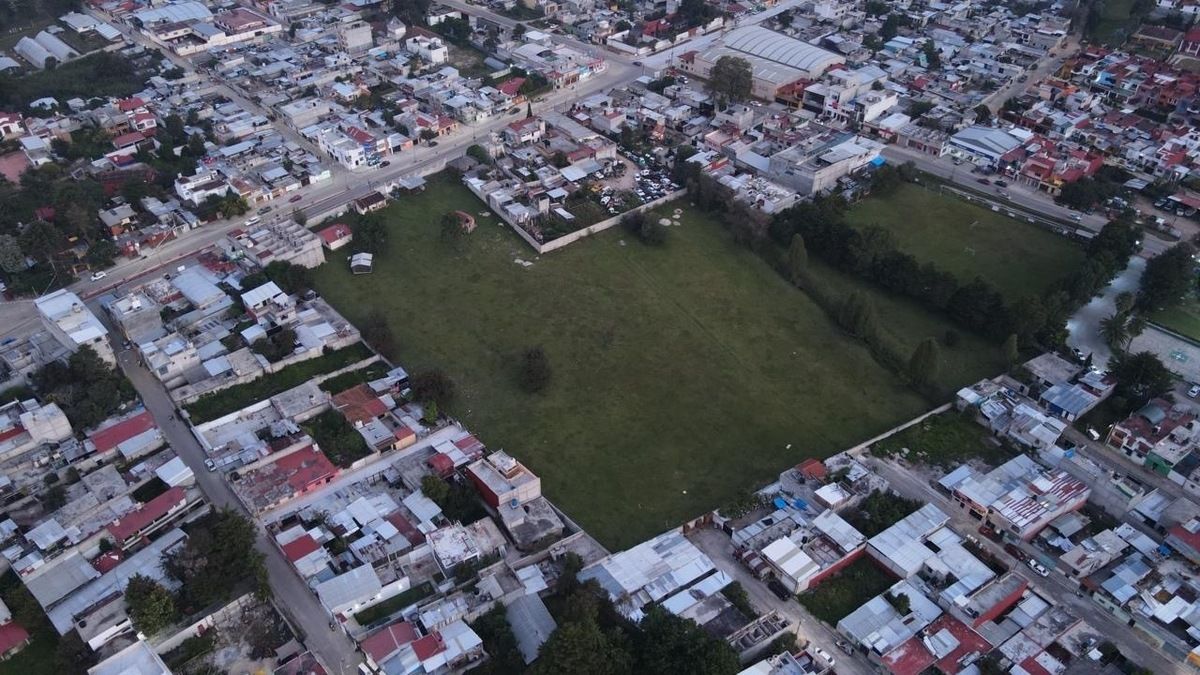 3 de 8