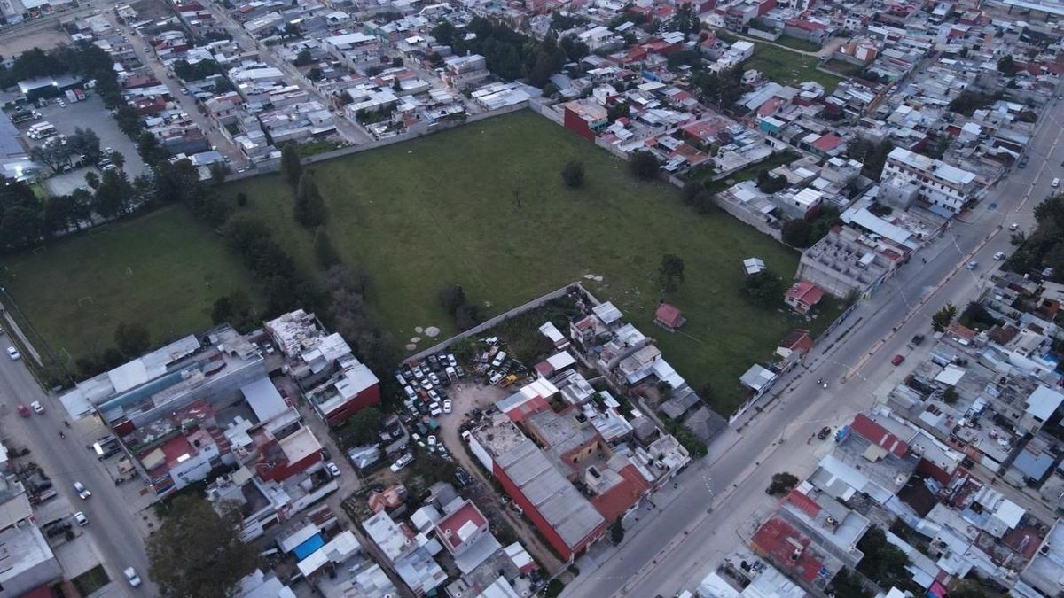 5 de 8