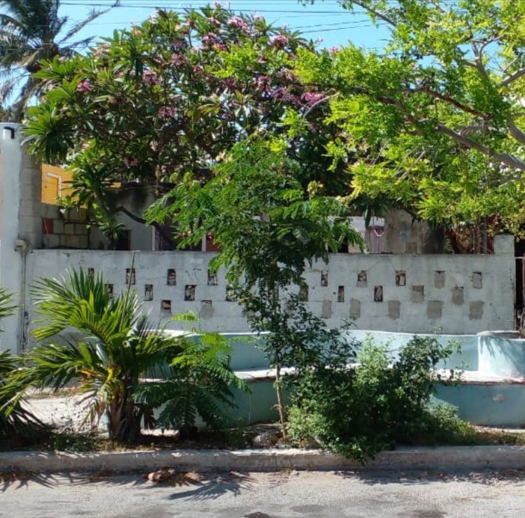 1 de 11