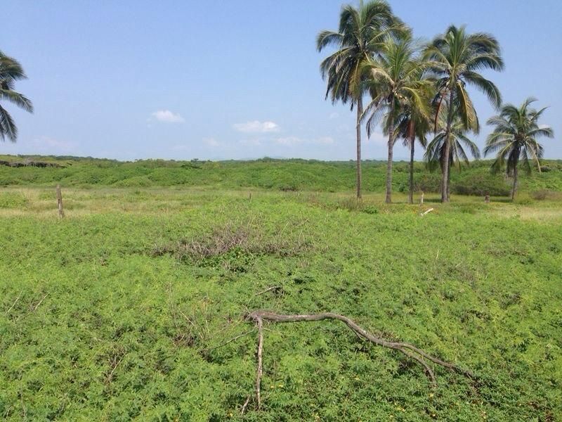 Terreno en Venta Joluta Guerrero - foto 5